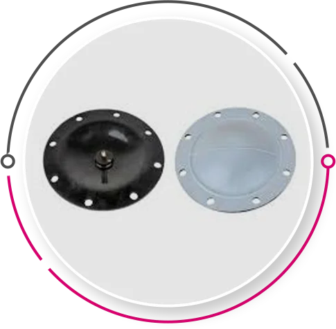 Reverse Type Teflon PTEE Diaphragm-with-Rubber